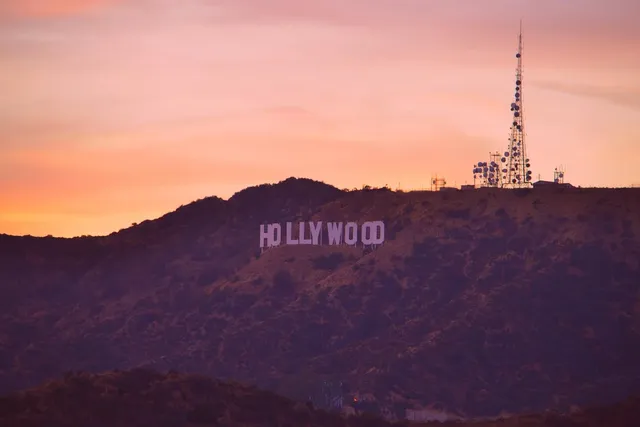 Hollywood Nights